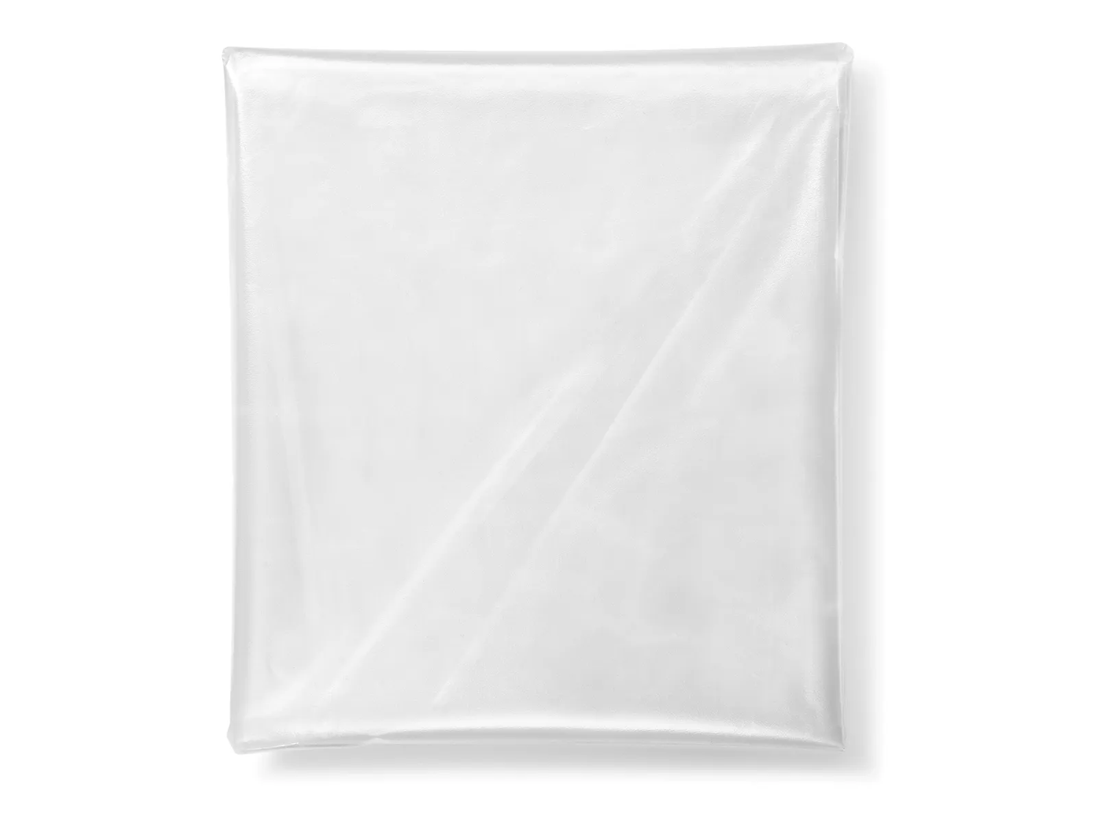 Festool Disposable bag ENS-VA-20/10